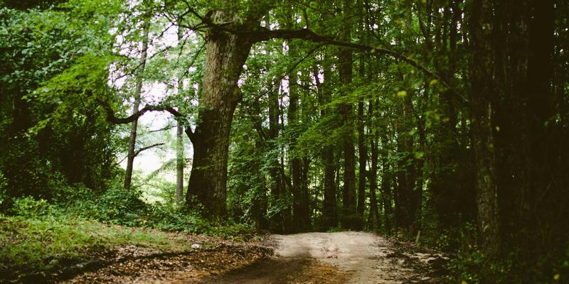 0510无锡美食地图：从太湖之畔到街头巷尾的舌尖盛宴