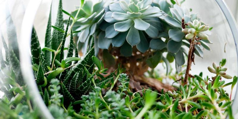 0510本地生活 | 探访宜兴紫砂非遗传人：一捧五色土，千载匠人心