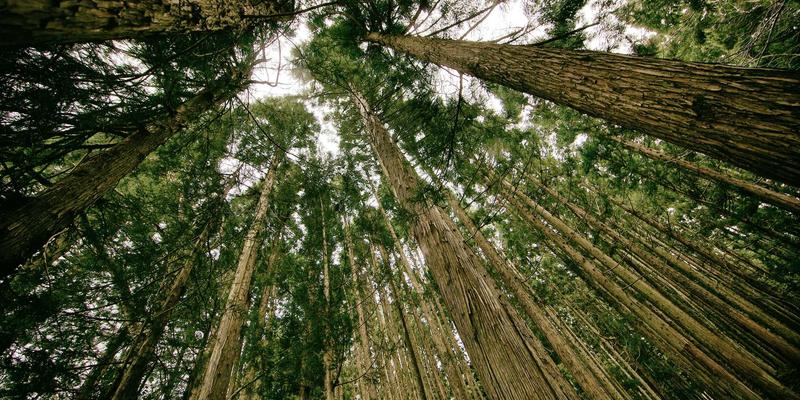 探秘无锡阖闾城遗址博物馆：穿越吴越争霸，品味江南城市起源与本地生活