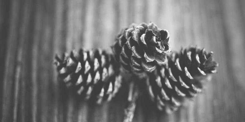 无锡19:解码本地生活新范式,在文化浸润中激活城市脉搏