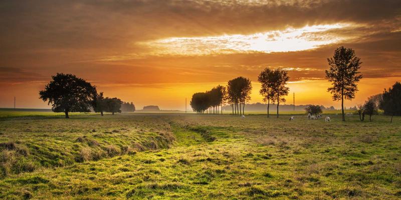 无锡33：解码0510区号的本地生活与深度旅游指南