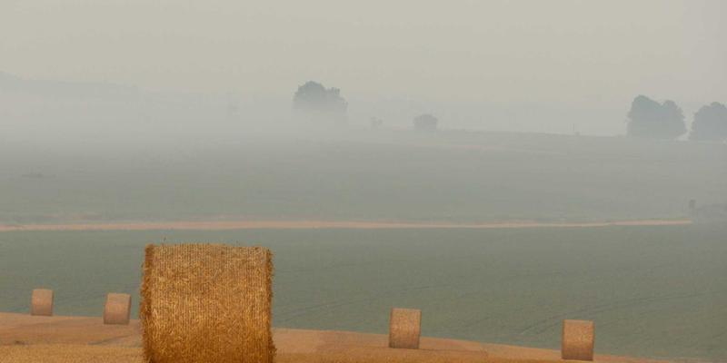 无锡70：解码本地生活新图景，发现城市活动新脉搏