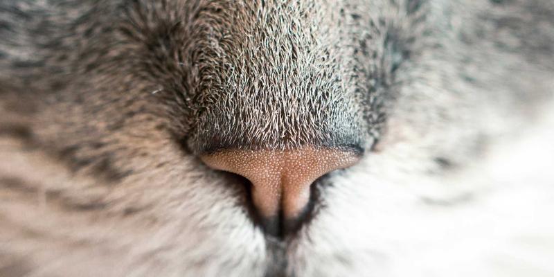 无锡三天两夜深度游：玩转太湖鼋头渚与灵山大佛的文旅休闲攻略