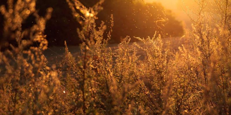 无锡太湖国际博览中心：会展经济如何驱动城市旅游与产业升级