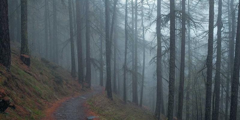 无锡：太湖明珠的文化底蕴与旅游新篇