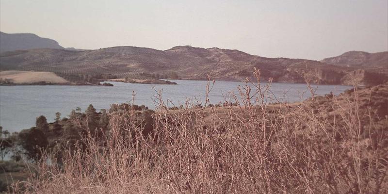 无锡斗山禅寺与太湖晨雾：追寻江南茶禅一味的心灵静修之旅