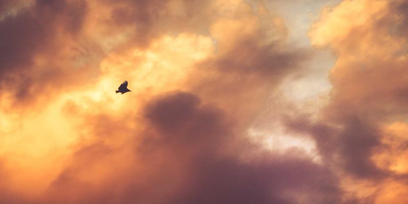 无锡梅园早春赏花全攻略：探秘荣氏园林，邂逅工业传奇与江南风雅