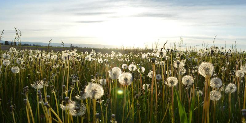 无锡漫游指南：0510区号里的美食与休闲密码