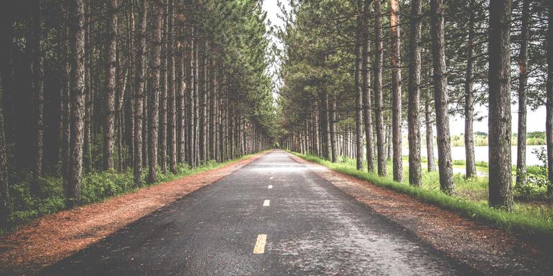 无锡灵山梵宫建筑艺术解析：东方佛教文化与现代设计的碰撞