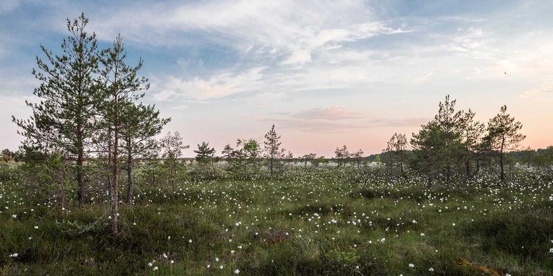 无锡物联网产业创新中心：从示范区到全球高地的崛起之路