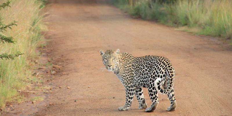 无锡荡口古镇民俗体验：沉浸式江南婚俗展示与手作工坊全攻略