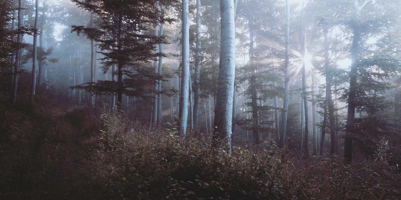 无锡运河公园艺术漫游指南：工业遗产、音乐厅与美食的跨界交响