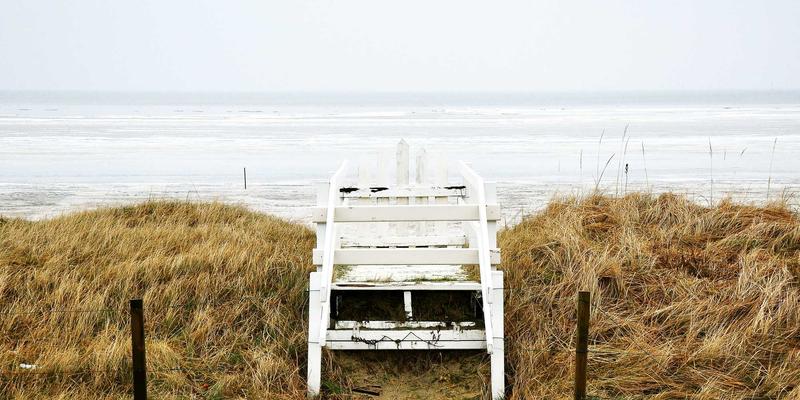 无锡酱排骨制作技艺揭秘：从三凤桥老字号看锡帮菜的传承与创新