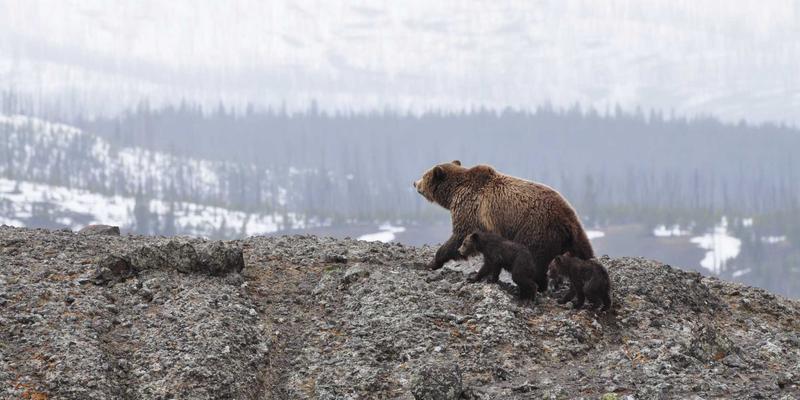 无锡锡剧：从太湖之滨到舌尖记忆，探寻本地生活里的戏曲美食密码